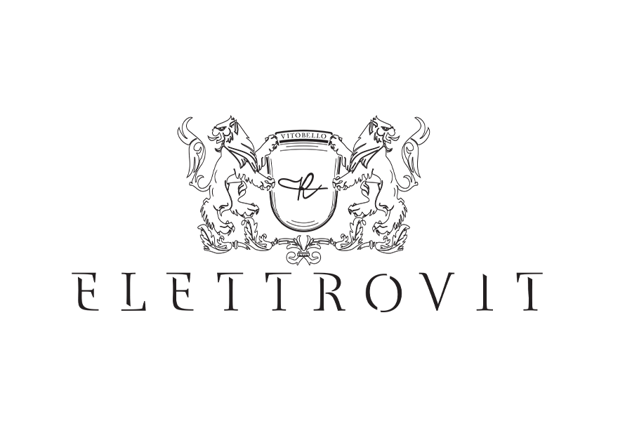 sito-elettrovit.png